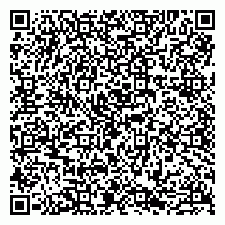 vCard 79807280187