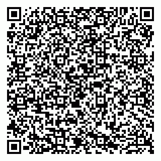 vCard 79807280203