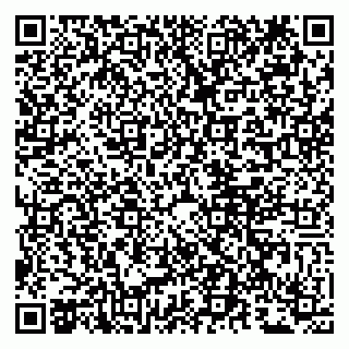 vCard 79807280209