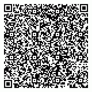 vCard 79807280211