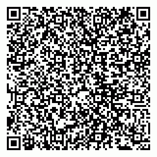 vCard 79807280217
