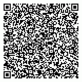 vCard 79807280219