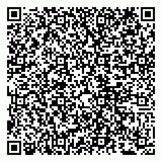 vCard 79807280221