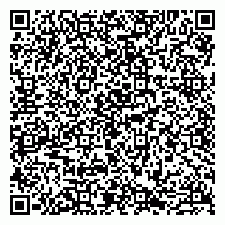vCard 79807280235