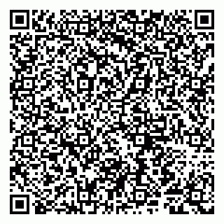 vCard 79807280260