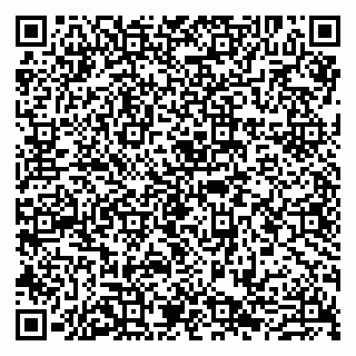 vCard 79807280272