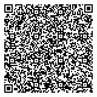 vCard 79807280281