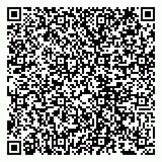 vCard 79807280290