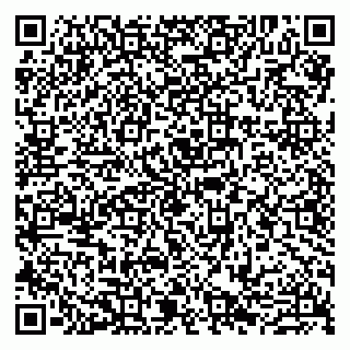 vCard 79807280293