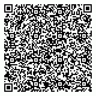 vCard 79807280294