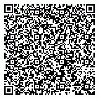 vCard 79807280304