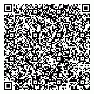 vCard 79807280305