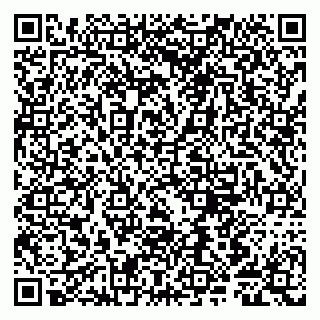 vCard 79807280313