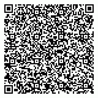 vCard 79807280315