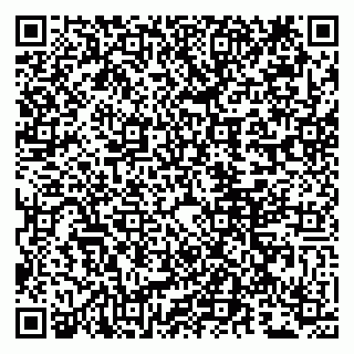 vCard 79807280317