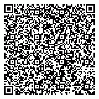 vCard 79807280319