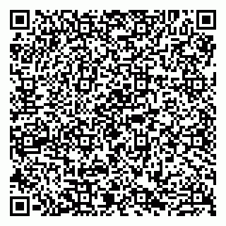 vCard 79807280329