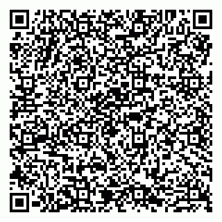vCard 79807280330