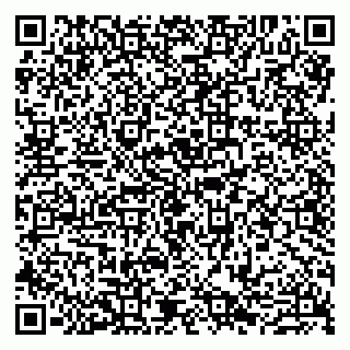 vCard 79807280331