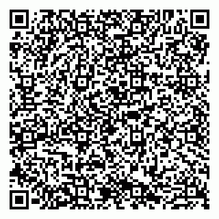 vCard 79807280333