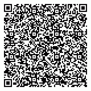 vCard 79807280334