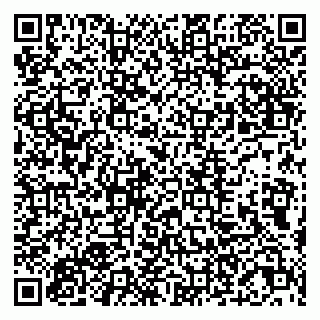 vCard 79807280336