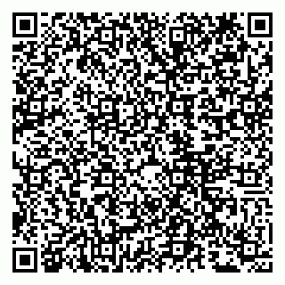 vCard 79807280337