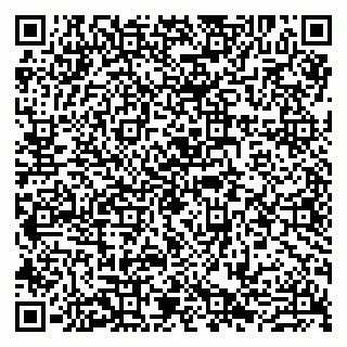 vCard 79807280341