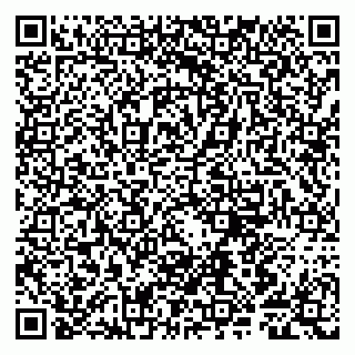 vCard 79807280349
