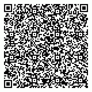 vCard 79807280375