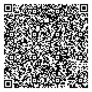 vCard 79807280377