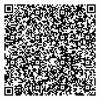 vCard 79807280379