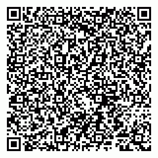 vCard 79807280381