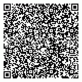 vCard 79807280382