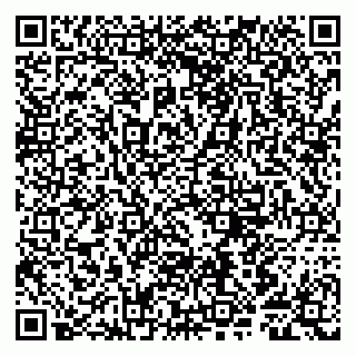 vCard 79807280383