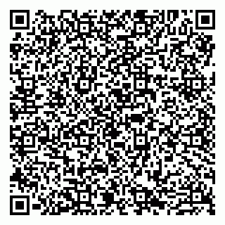 vCard 79807280384