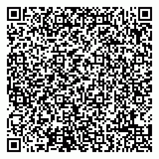 vCard 79807280385