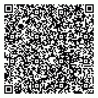 vCard 79807280386