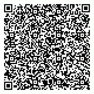 vCard 79807280387