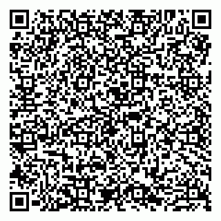 vCard 79807280388