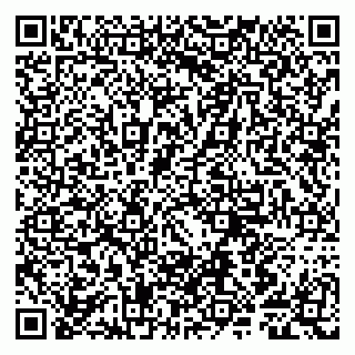 vCard 79807281207