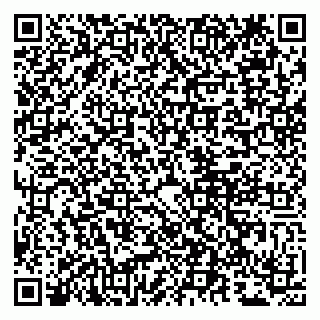 vCard 79807281208