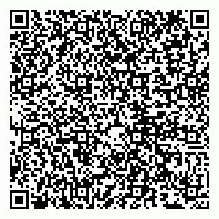vCard 79807281209