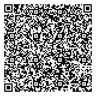 vCard 79807281235