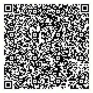 vCard 79807281273