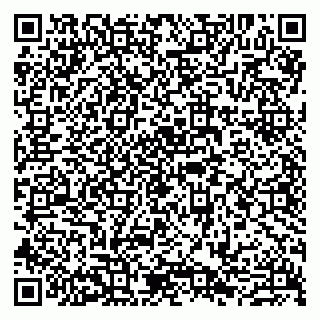 vCard 79807281274