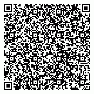 vCard 79807281295