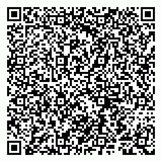 vCard 79807281299