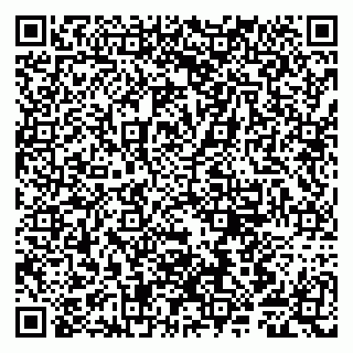 vCard 79807281300