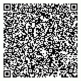 vCard 79807281303
